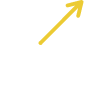 Revenue Icon